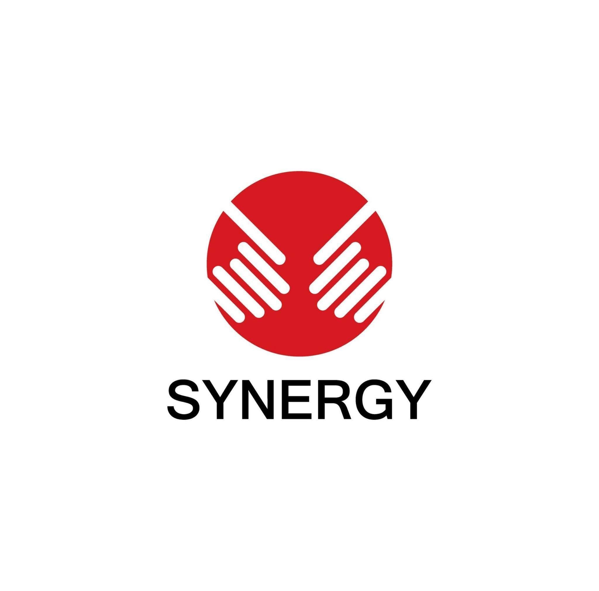 Synergy Tours & Travels — Tours & Travels — a Nishchinto AI customer